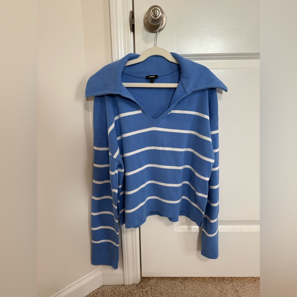 Express Cyrus Blue and White Striped Sweater